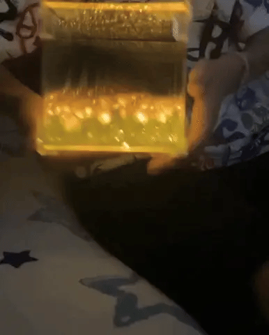 Cubo Tulipanes Infinitos | + Envio Gratis✨🌷